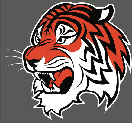 Tiger, 2025 - Vector illustration/spot color separation for screen printing. Commissioned work for Three Twins Productions.